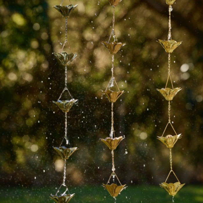 Rainchain Lily -