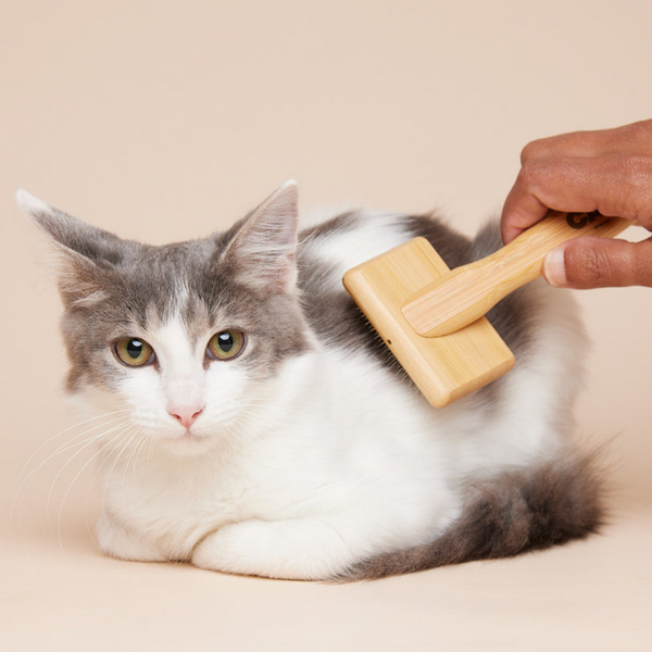 CAT - Slicker Brush