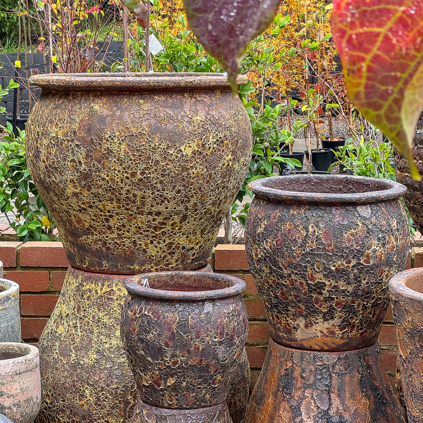 Fossil Mossman Planter - Rust