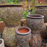 Fossil Mossman Planter - Rust
