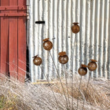 Poppy Head - Rust Stake