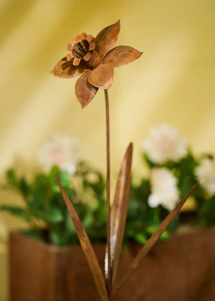 Rust Daffodil Stake