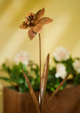 Rust Daffodil Stake