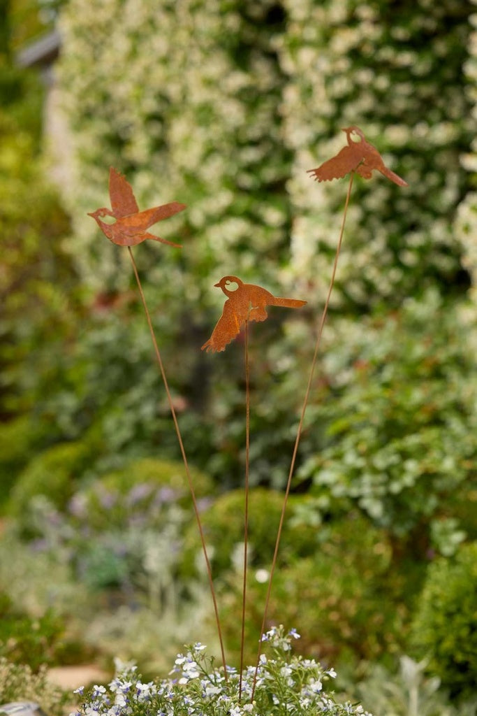 Bird Spray - Rust