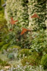 Bird Spray - Rust