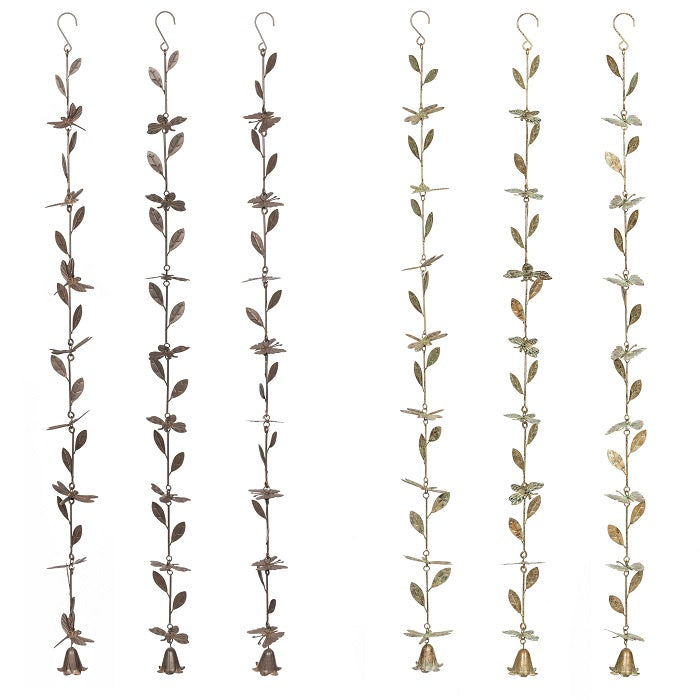 Chain Insect