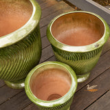 Charlotte Urn - French Green