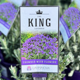 Lavinnova The King - 14cm Pot
