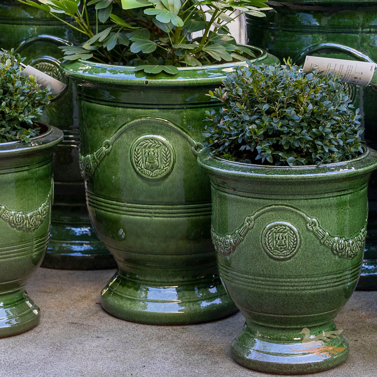 Anduze Urn - French Green