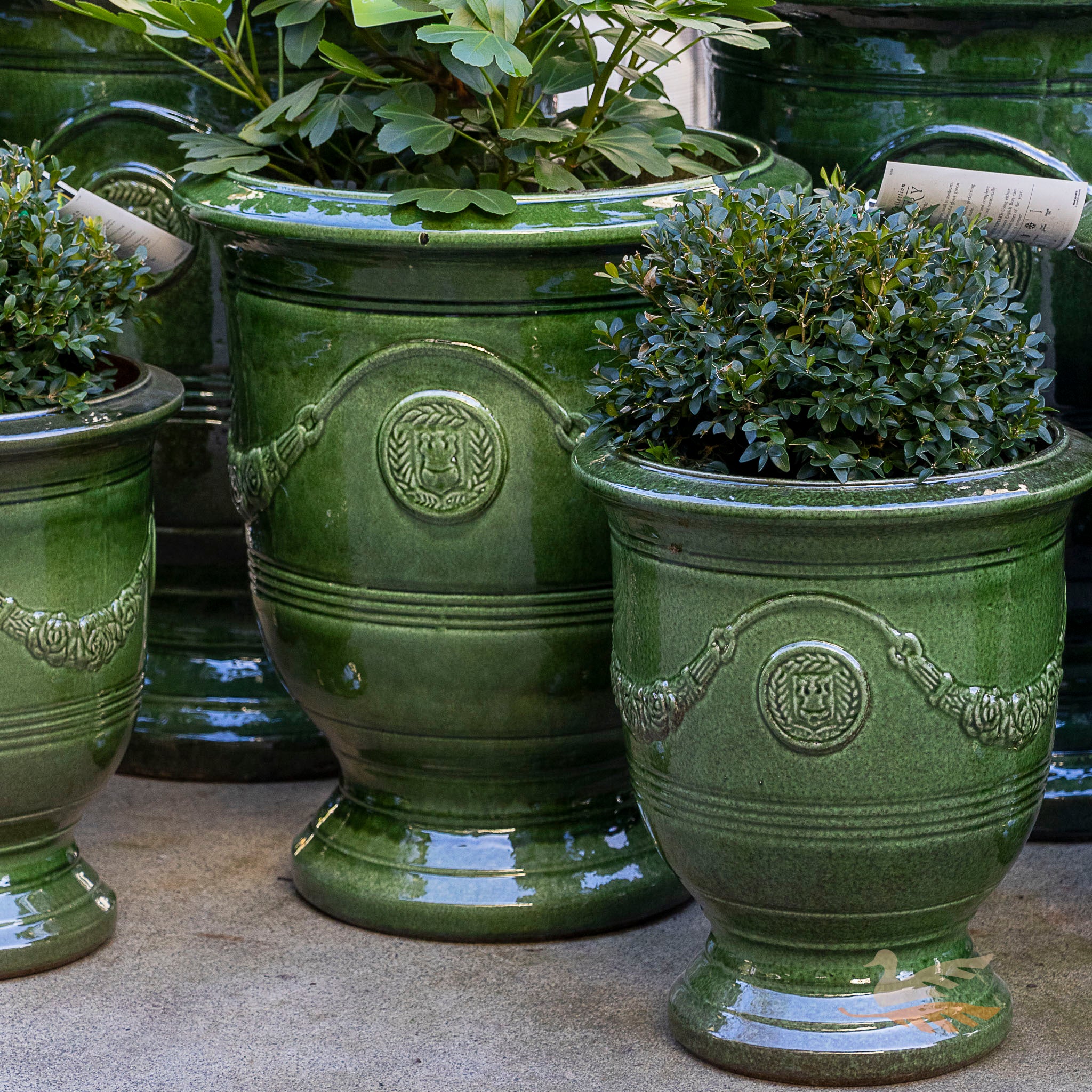 Anduze Urn - French Green