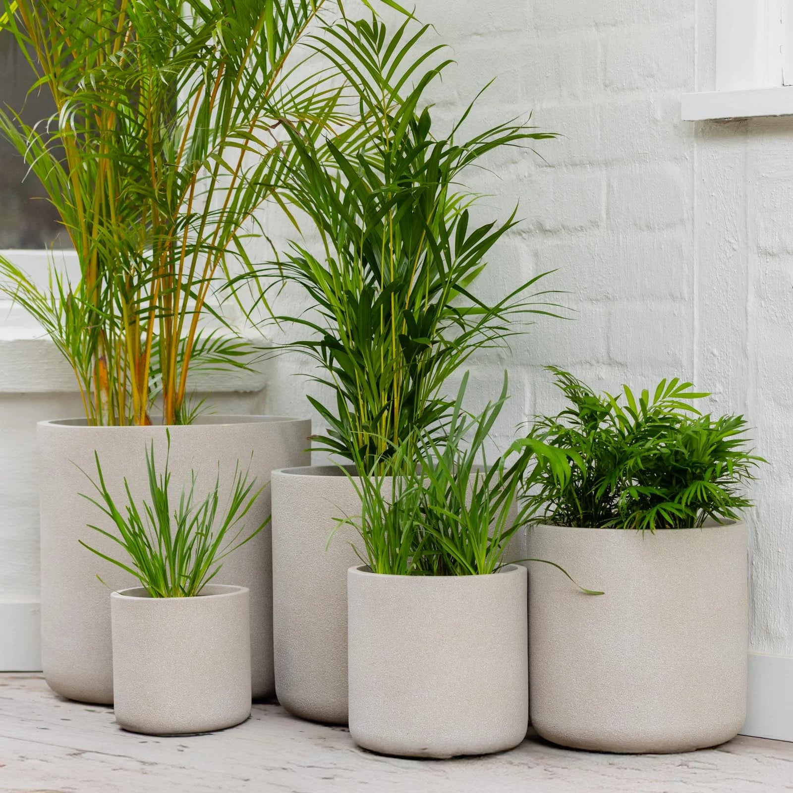 Vellum Cylinder -