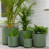 Vellum Cylinder -
