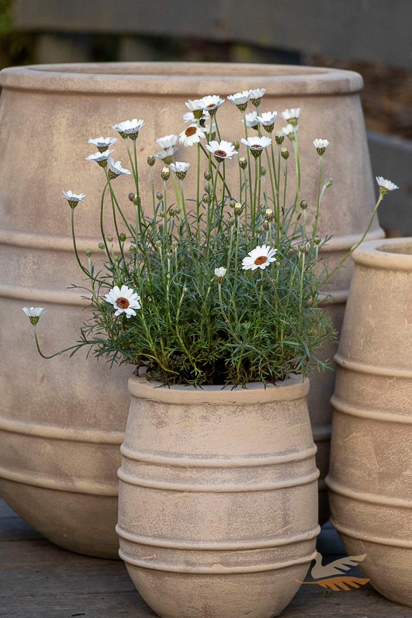 Braid Antique Vase -