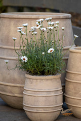 Braid Antique Vase -