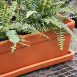 Window Box and Saucer 39cm