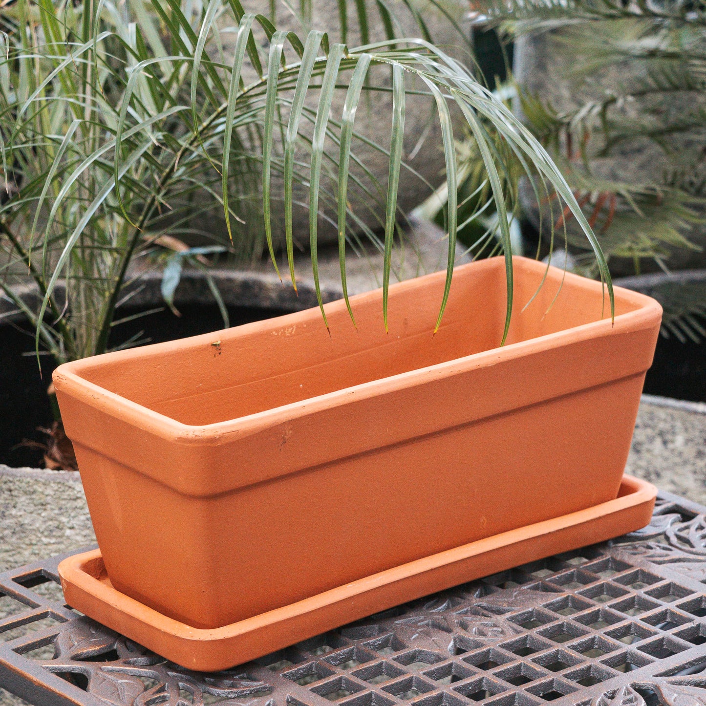 Window Box and Saucer 39cm