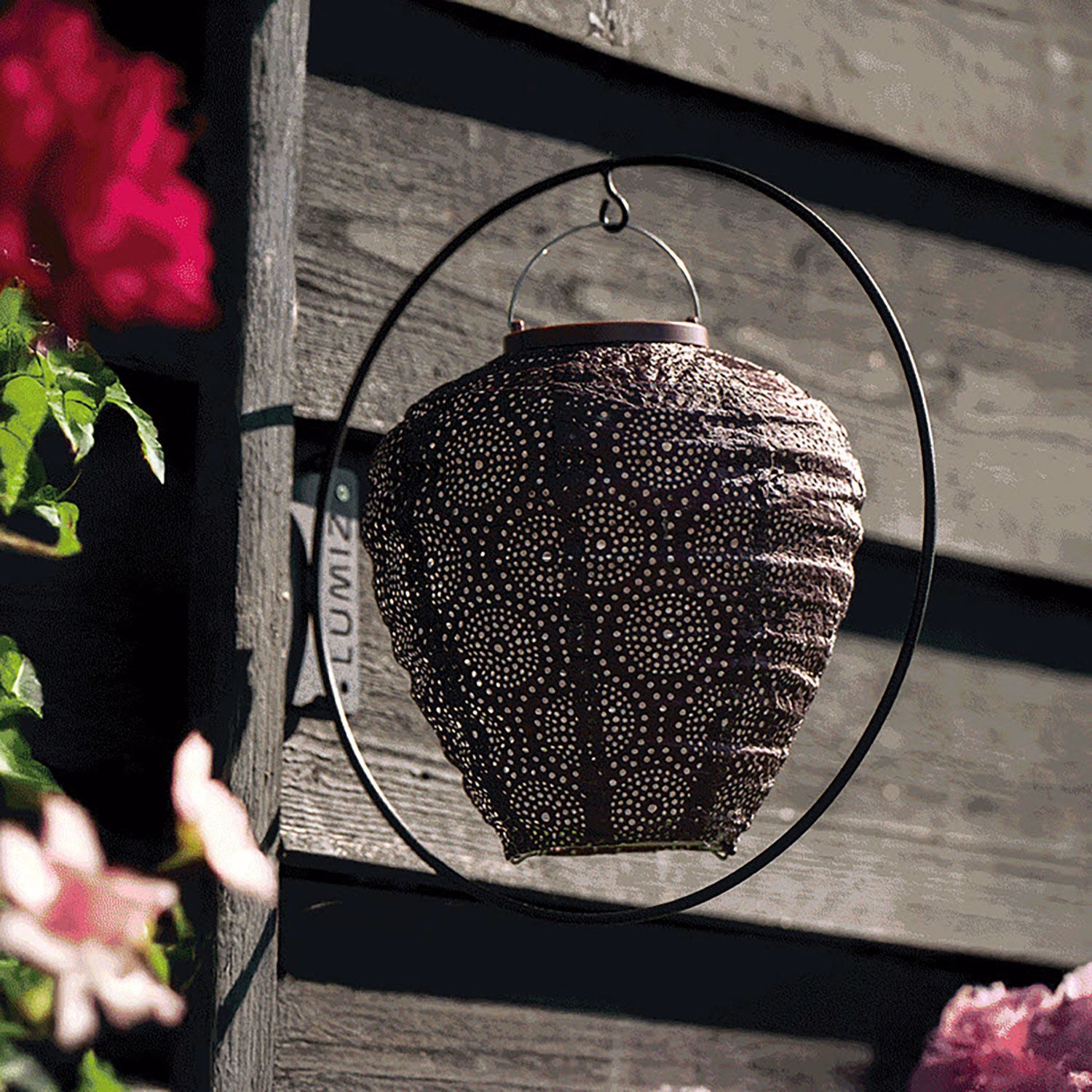 Lumiz Wall Circle Hanger