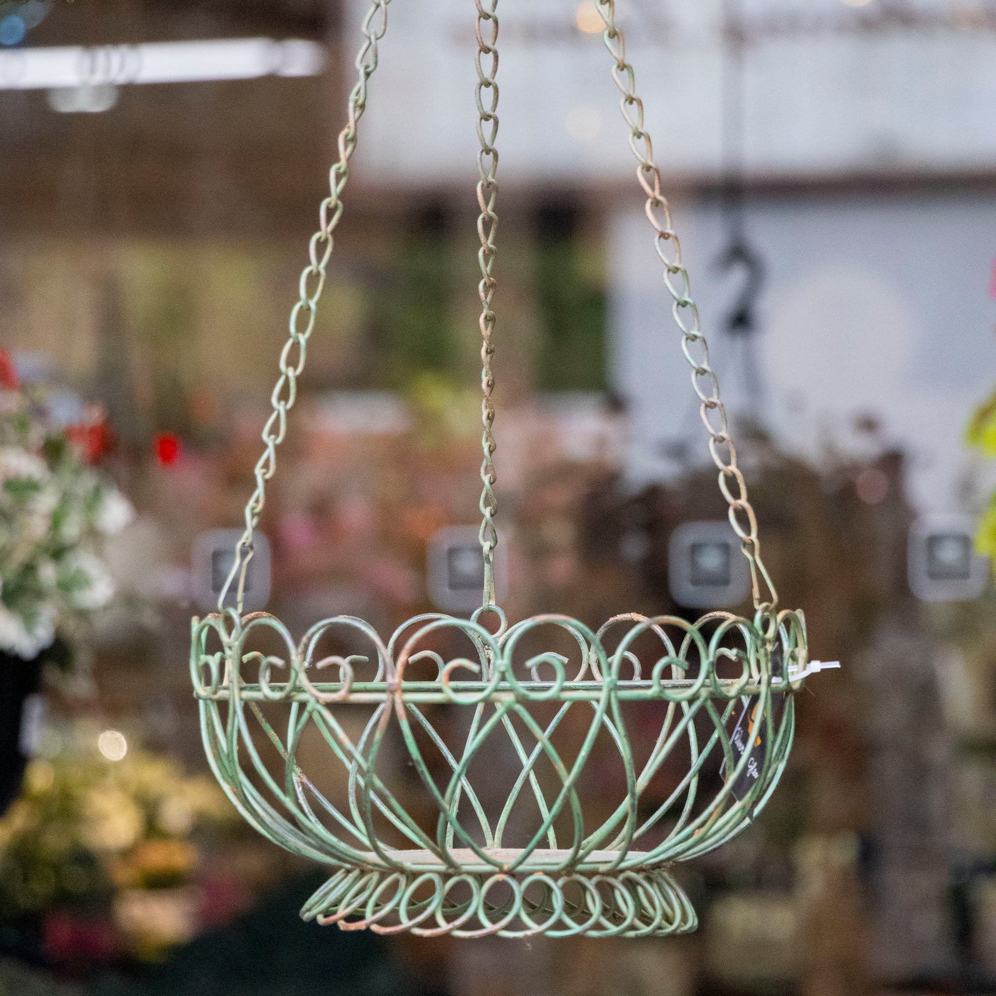 Florentine Hanging Basket -