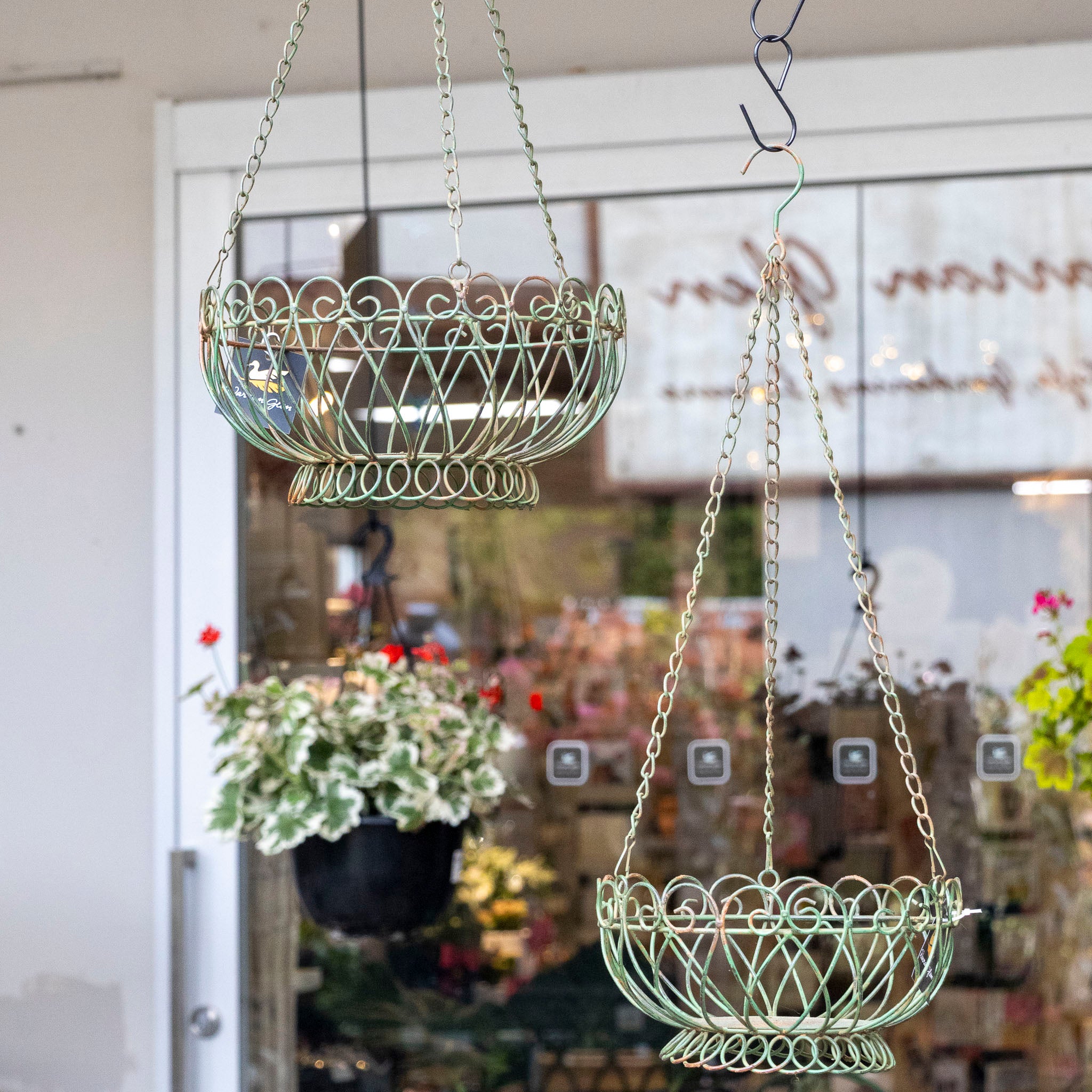 Florentine Hanging Basket -
