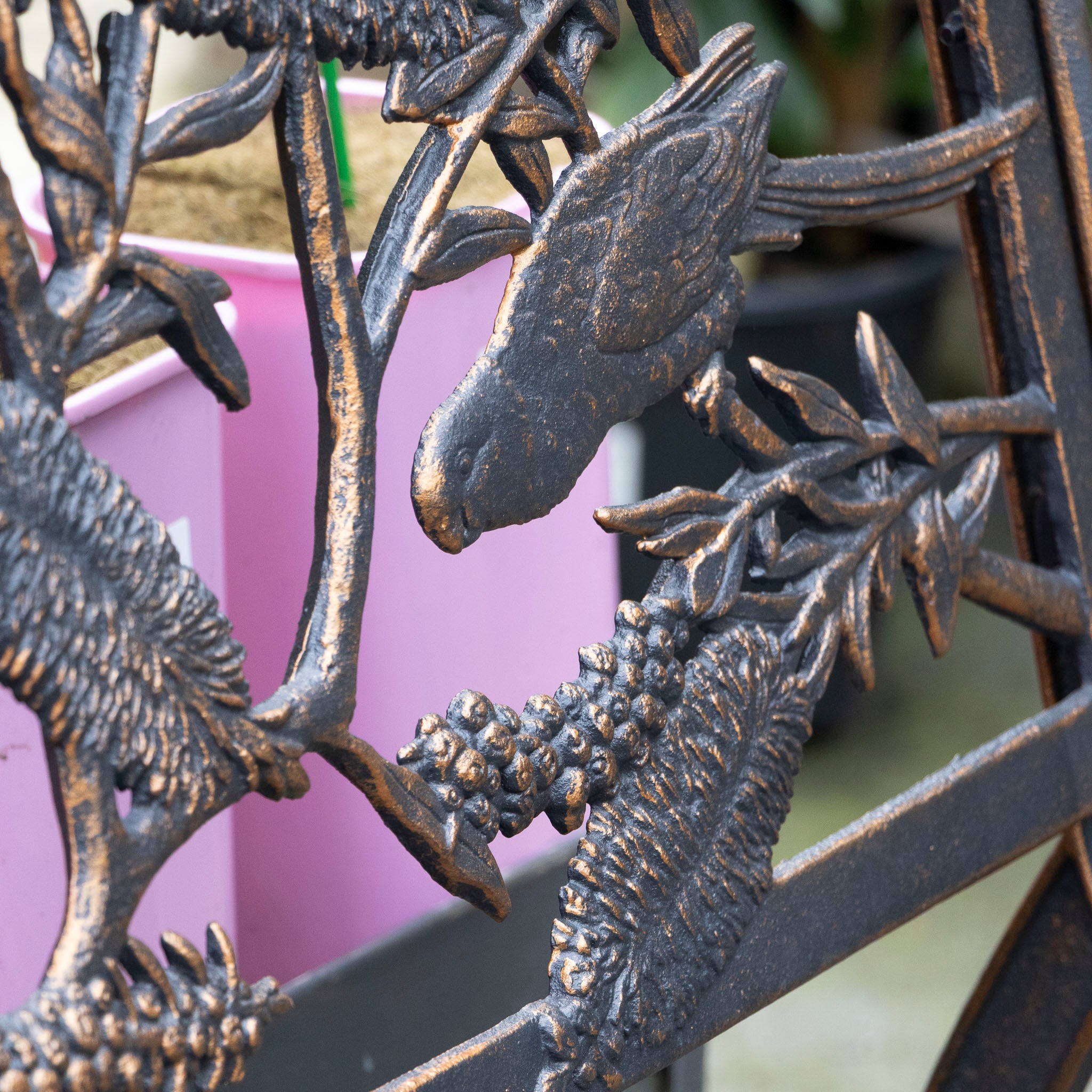 Cast Iron Bench - Rosella & Bottlebrush