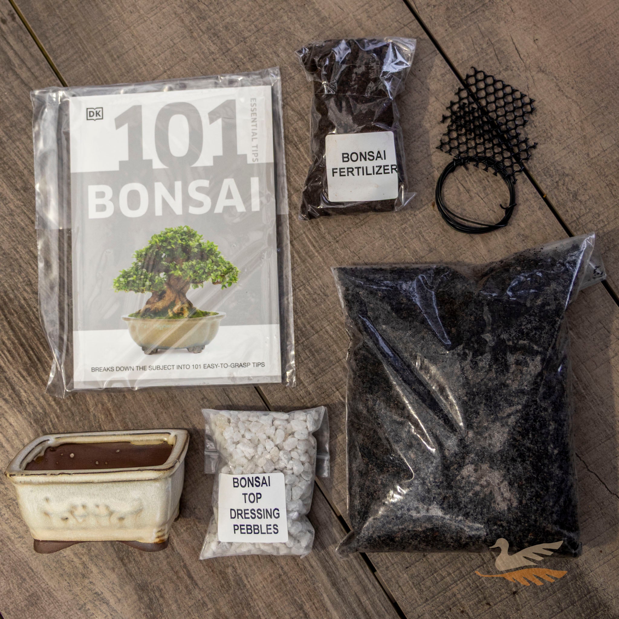 Bonsai Starter Kit