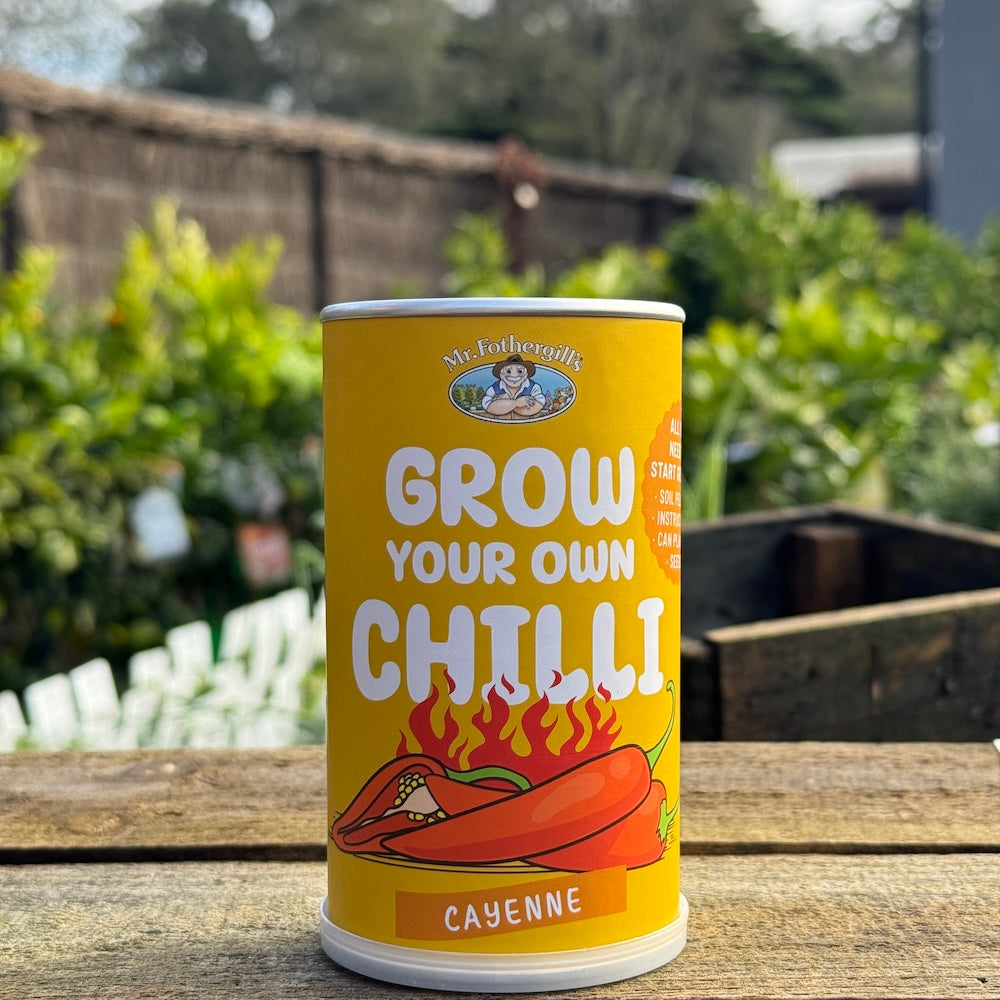 Chilli Can Grow Kit - Cayenne