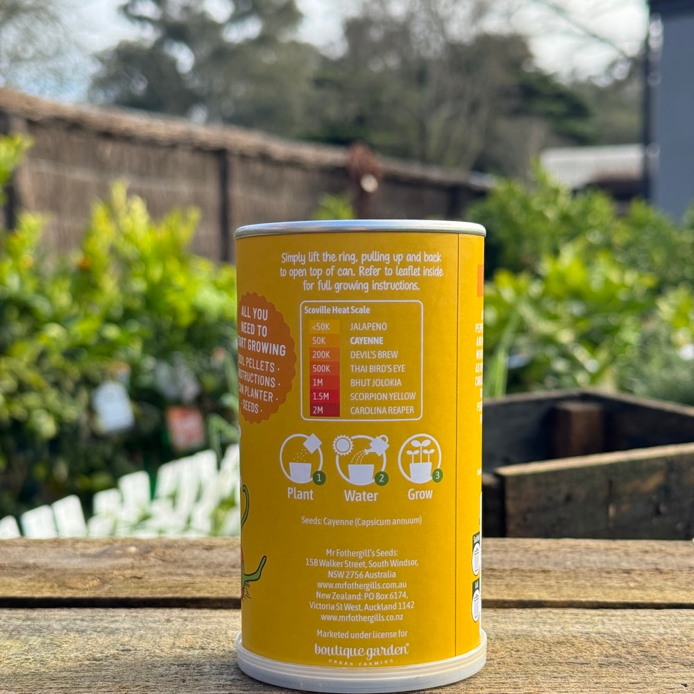 Chilli Can Grow Kit - Cayenne