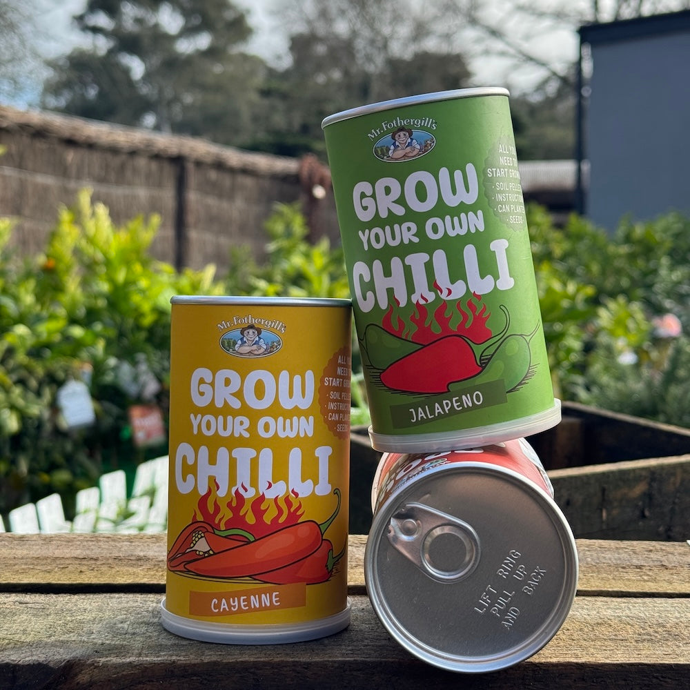 Chilli Can Grow Kit - Cayenne
