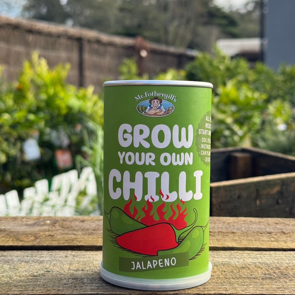Chilli Can Grow Kit - Jalapeno