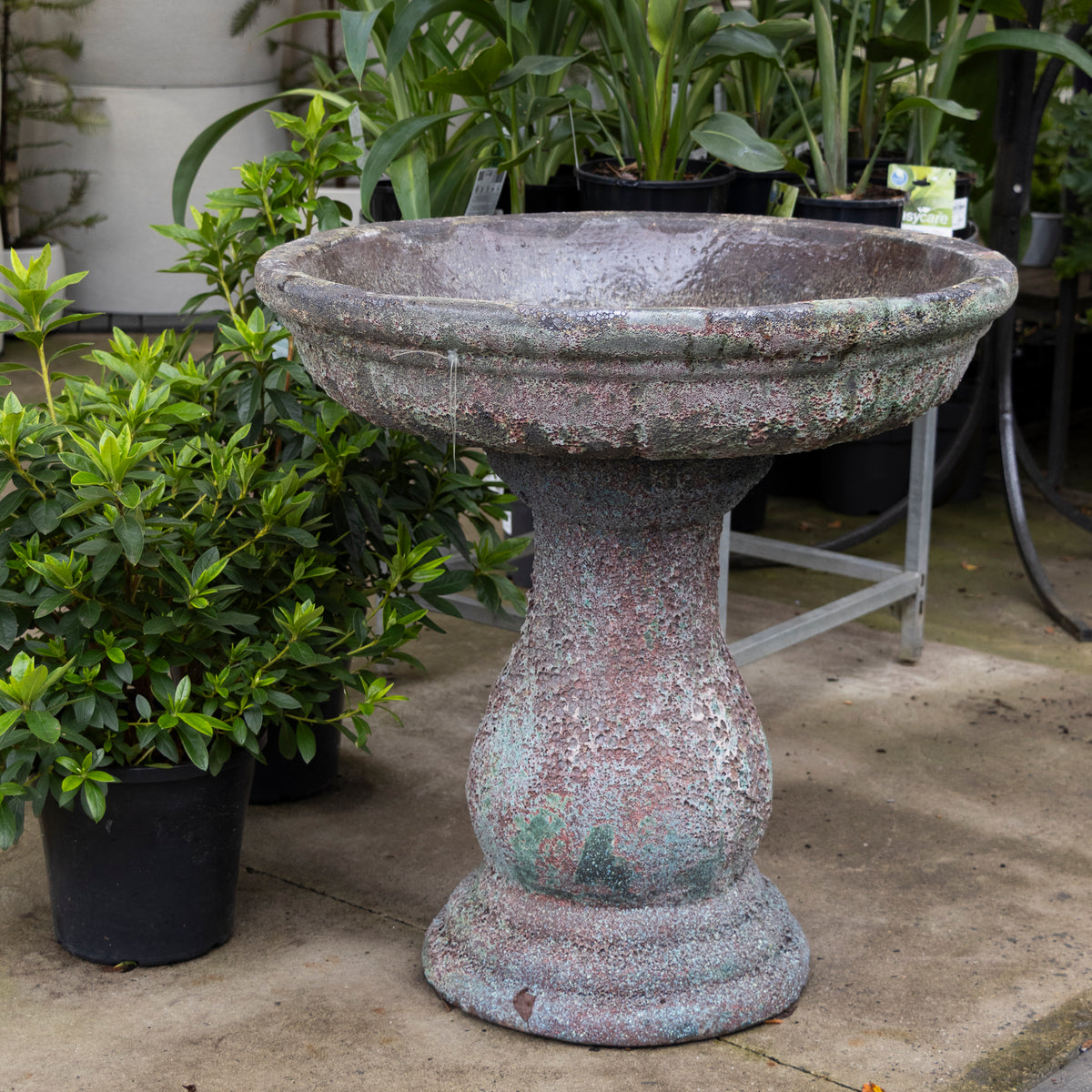 Birdbath -