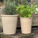 Provence Herb Pot -