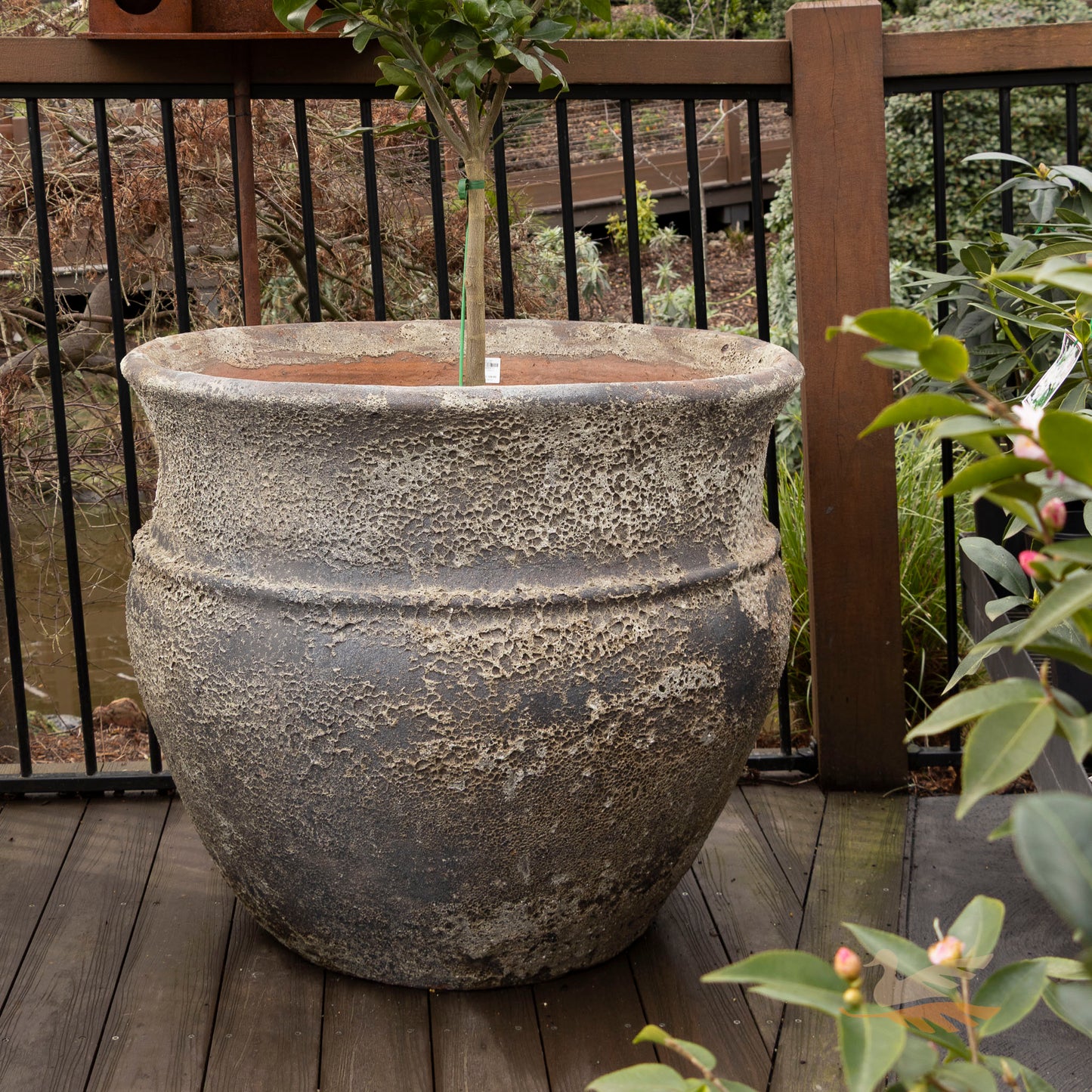 Everest Jar -
