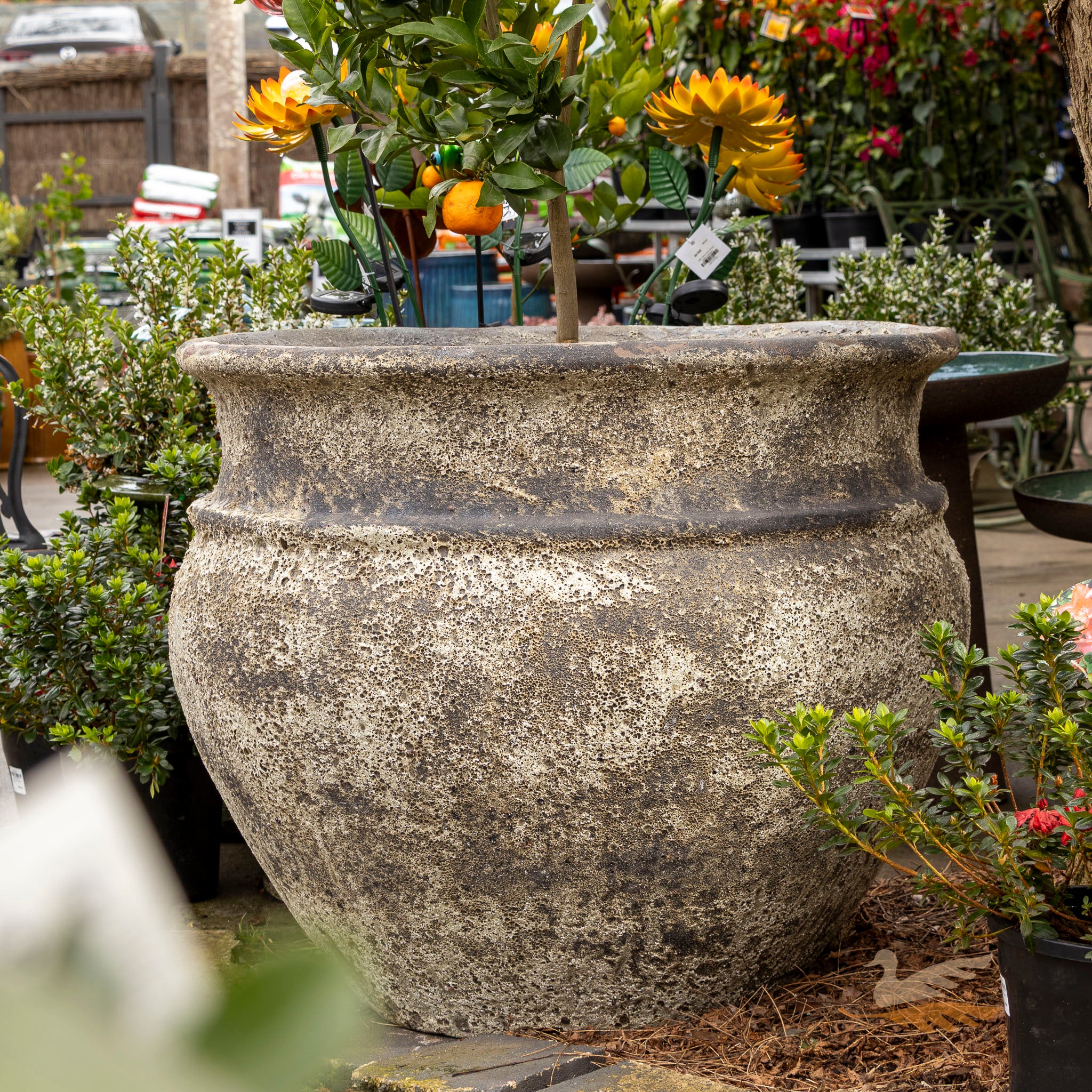 Everest Jar -