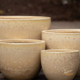 Vinh Egg -