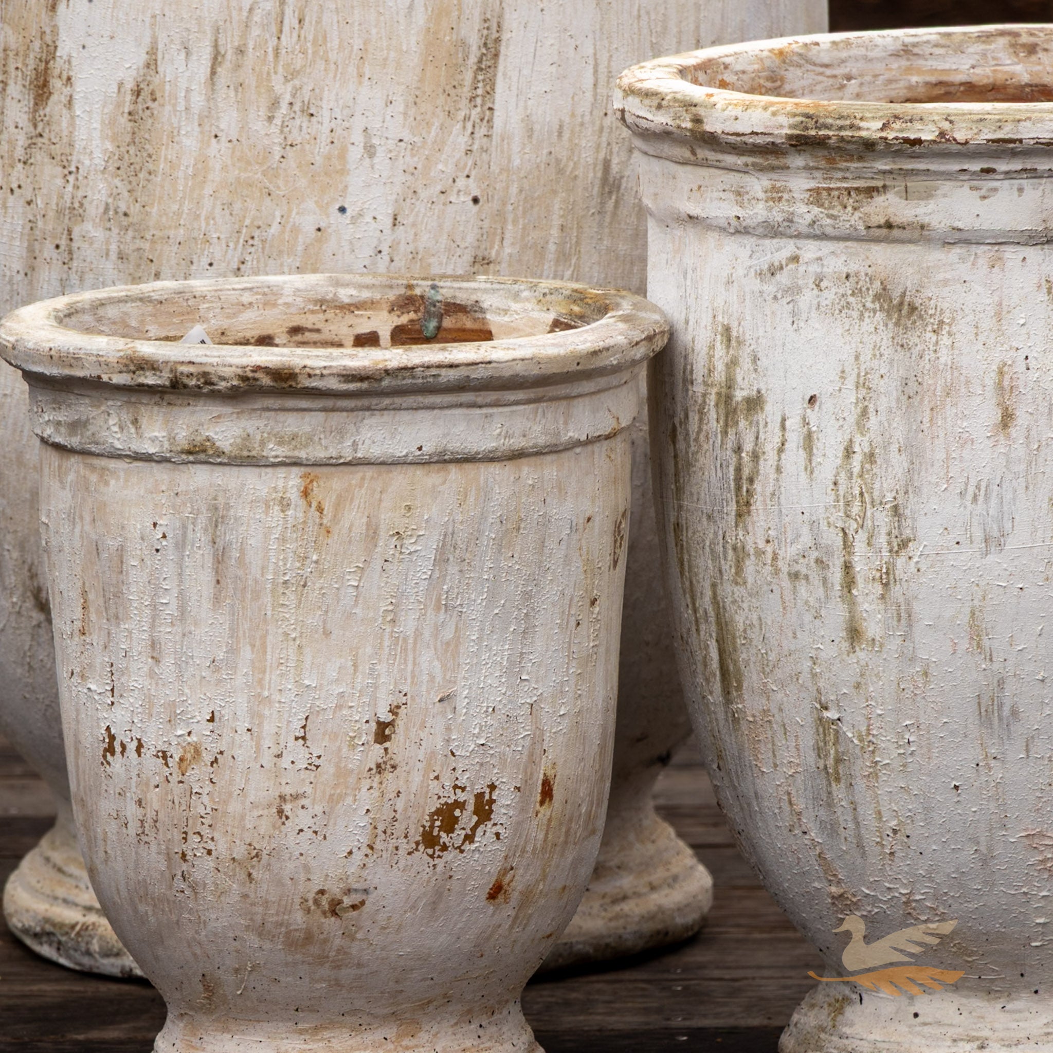 Dorada Urn -