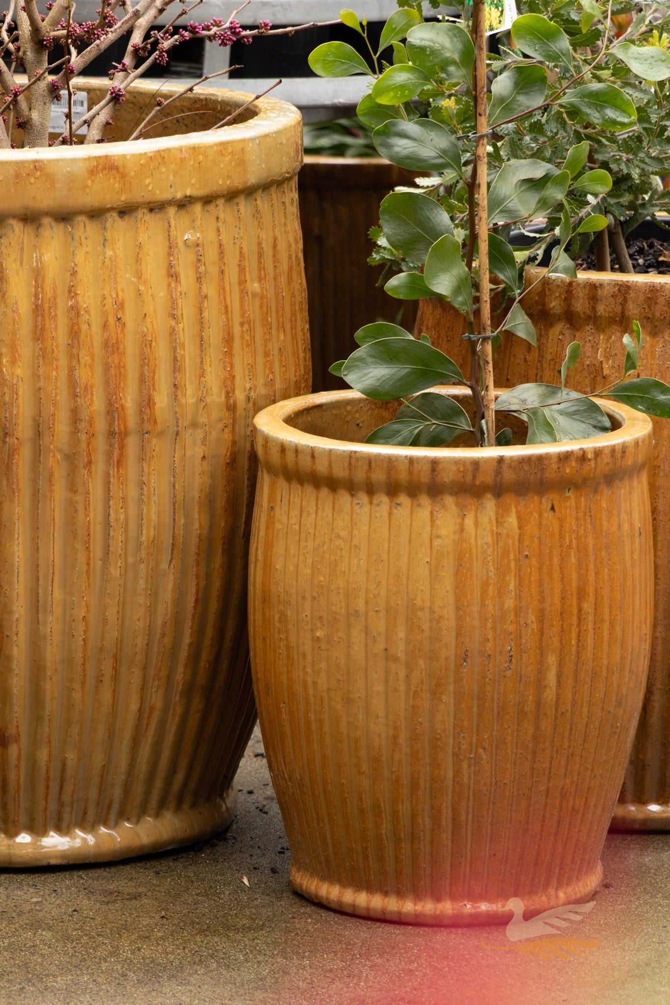 Mirador Planter -