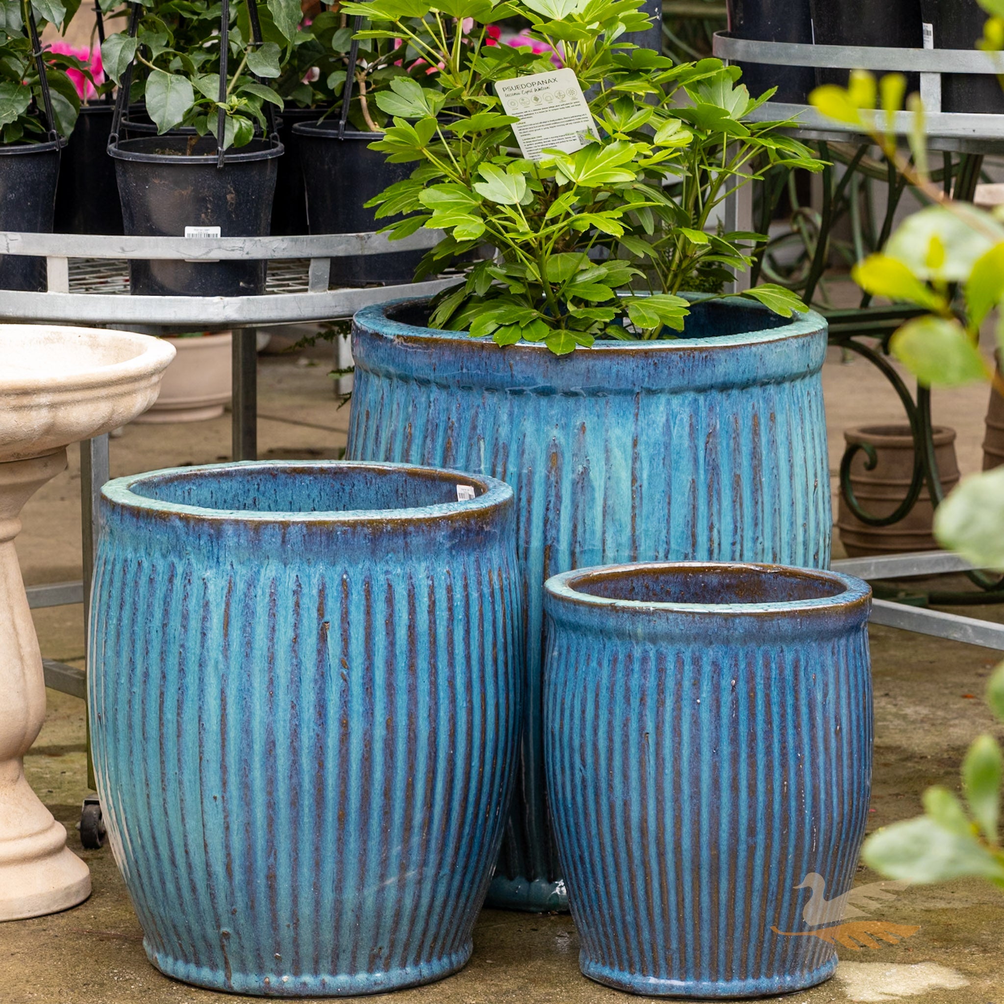 Mirador Planter -