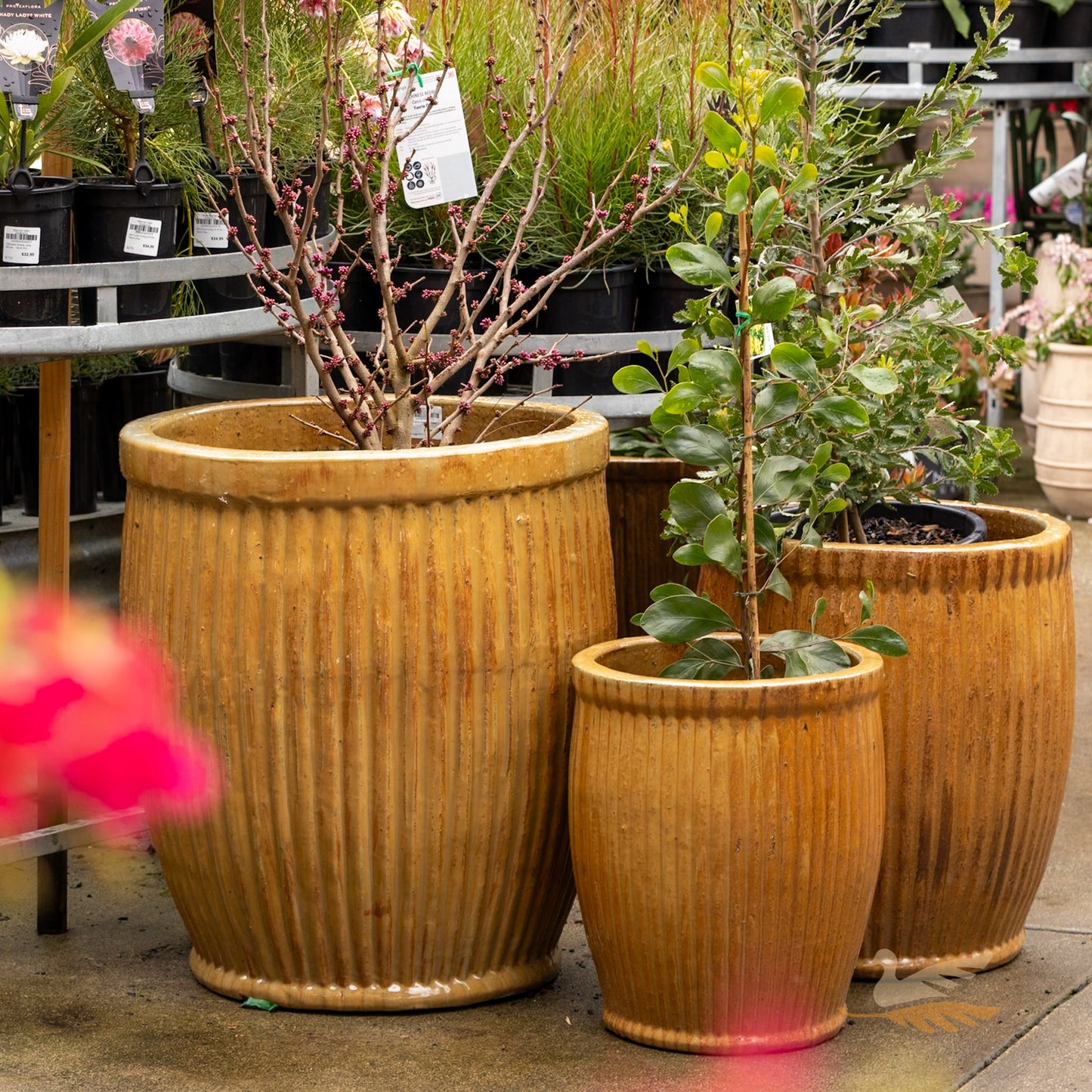 Mirador Planter -