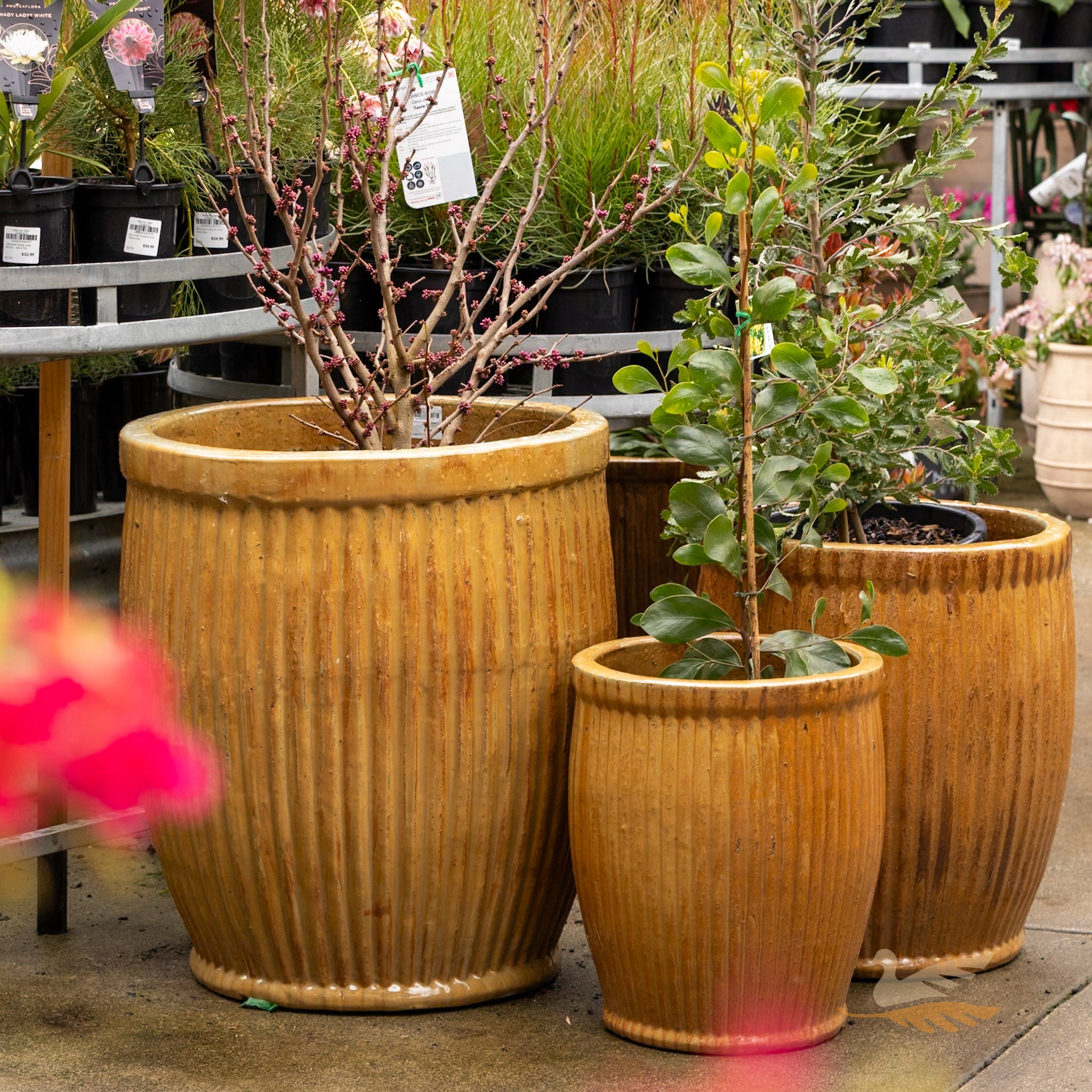Mirador Planter -