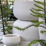 Andy Bowl -