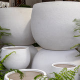 Mega Belly Pot -