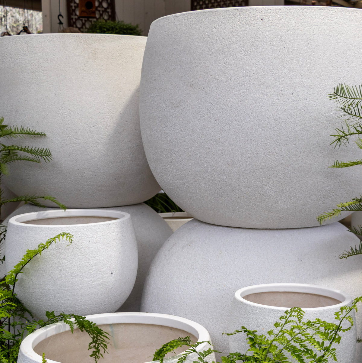 Mega Belly Pot -