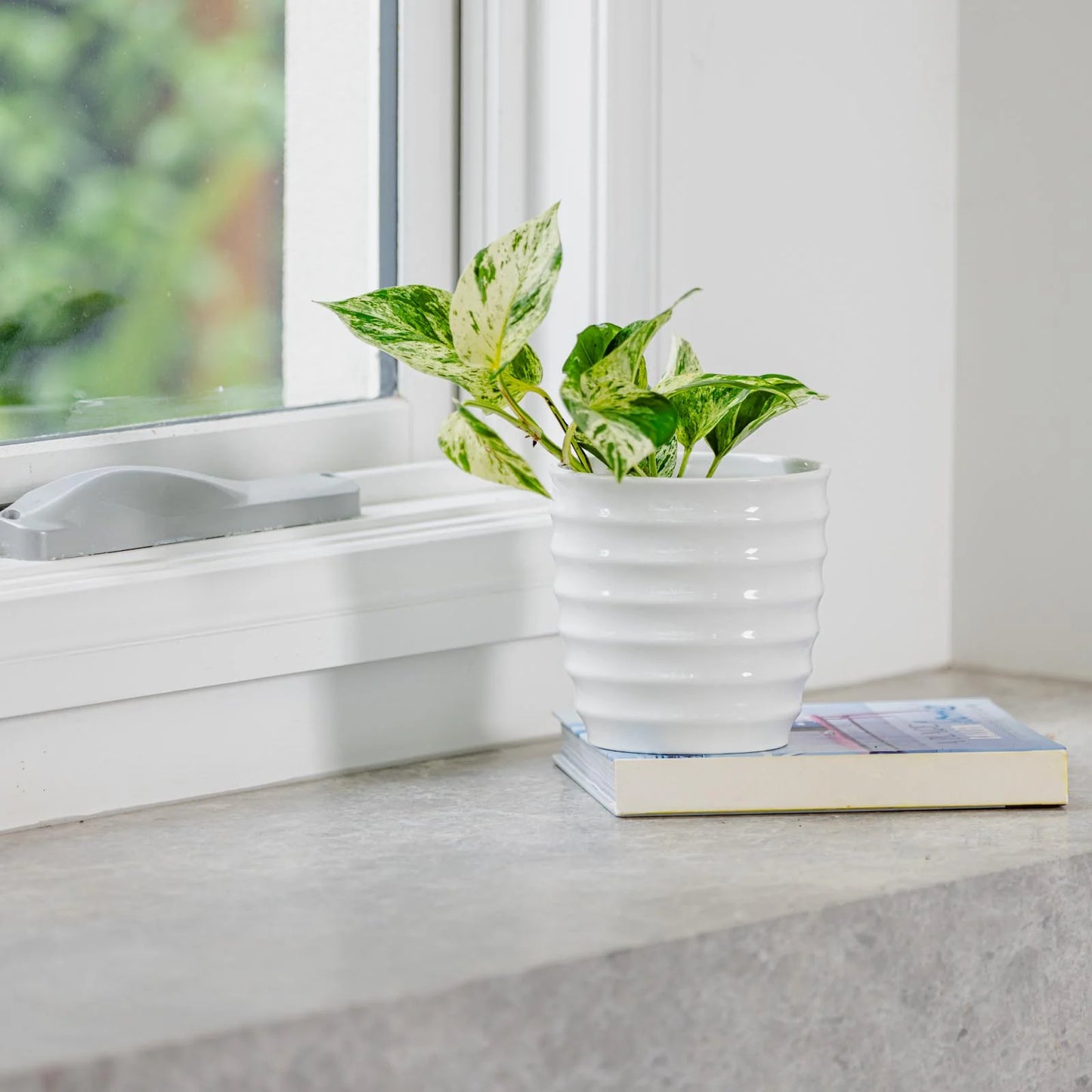 Ally Pot - White 16cm