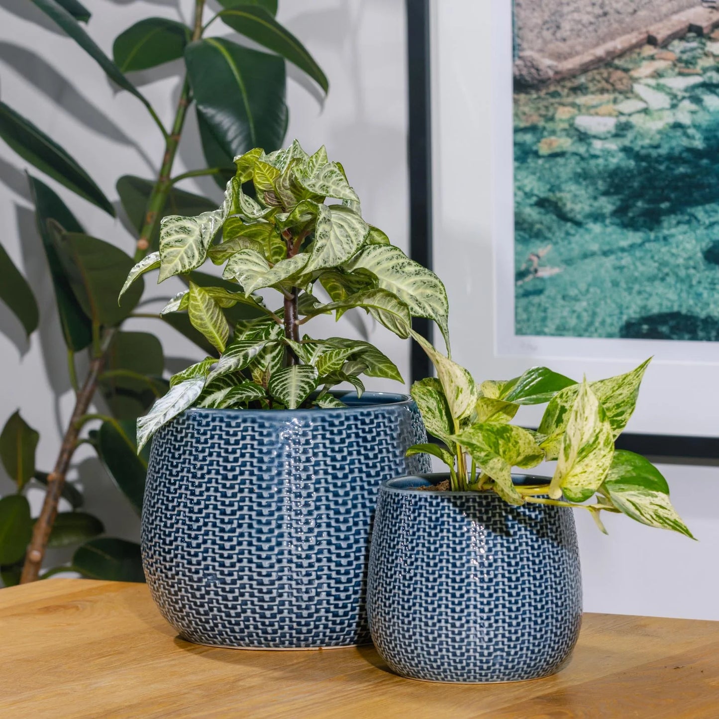 Coastal Pot -