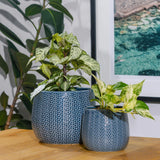 Coastal Pot -