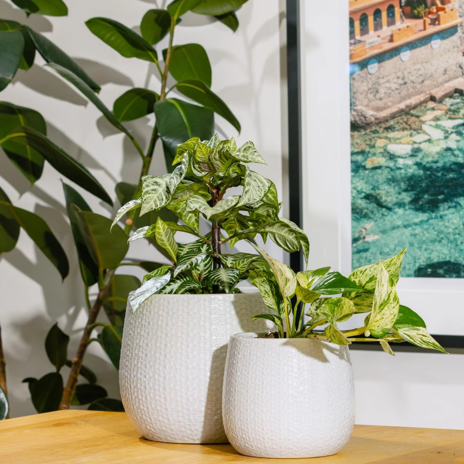 Coastal Pot -