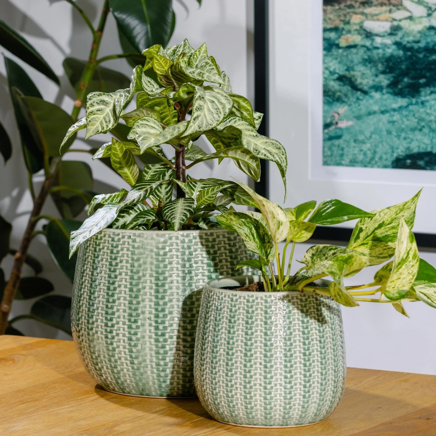Coastal Pot -