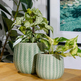 Coastal Pot -
