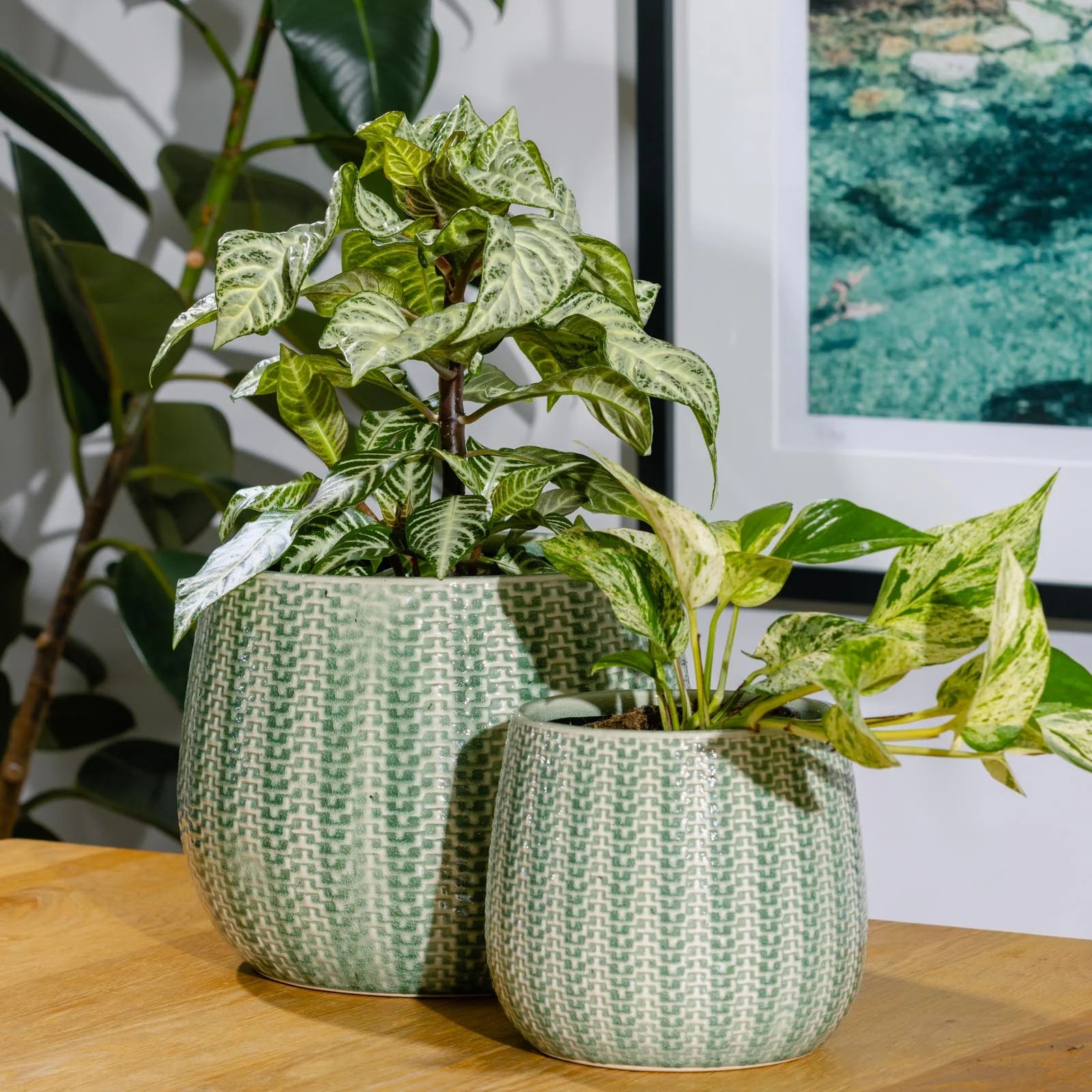 Coastal Pot -