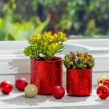 Stellar Pot - 14cm
